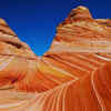 Article image for: The Wave in the USA