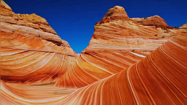 The Wave in the USA