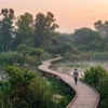 Walk through the Okhla Bird Sanctuary, Sector 94