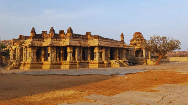 Vijaya Vittala Temple - Musical pillars