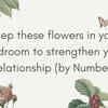 Article image for: Keep these flowers in your <i class="tbold">bedroom</i> to strengthen your relationship (by Number)