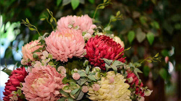 3. Chrysanthemum: Looks pretty, works behind the scenes