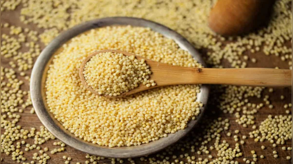 Foxtail Millet: The Shield Against City Life