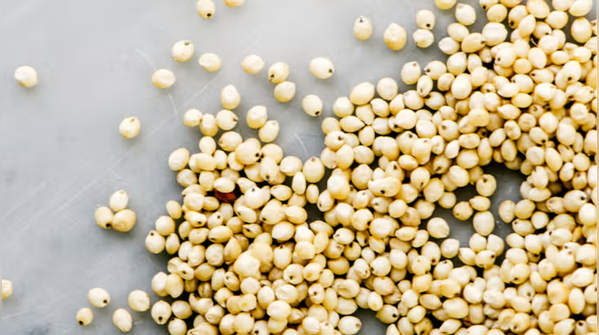 Sorghum (Jowar): The Hydration Hero