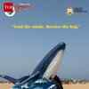 Article image for: Whale-Themed Recycling Initiative Promotes Cleanliness at <i class="tbold">Marina</i> Beach