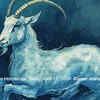 Article image for: Capricorn Horoscope Today, April 17, 2026: Career demands focus