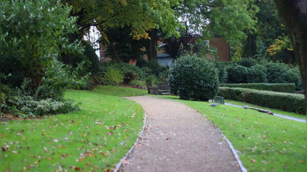 Green and clean environment