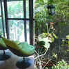 Refreshing green space within the home