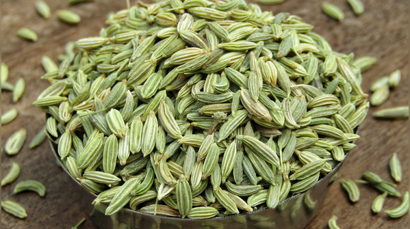 Fennel