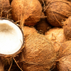 Coconut