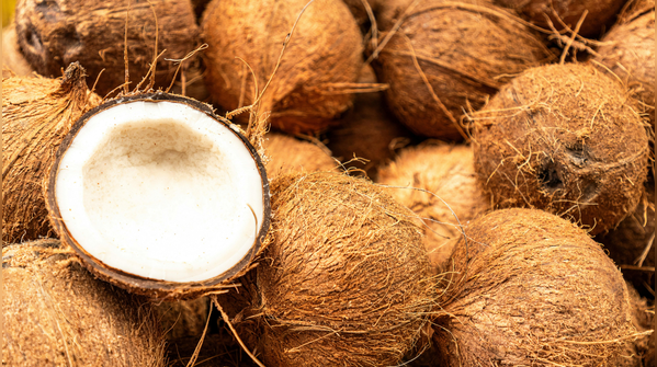 Coconut