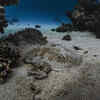 Article image for: Most <i class="tbold">volcanic activity</i> takes place under the ocean