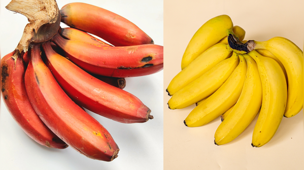 Red banana vs yellow banana guide