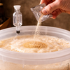 Step 6: Add the yeast
