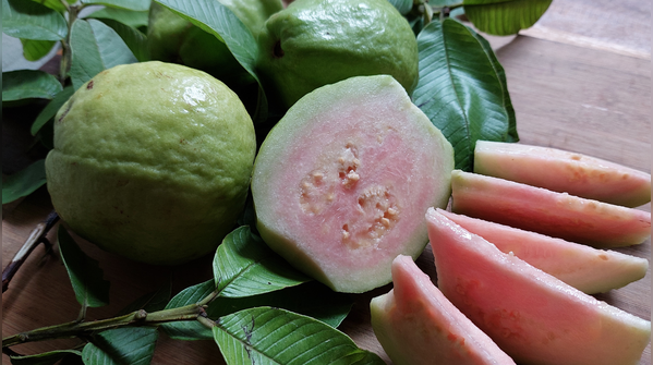Guava