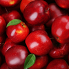 Article image for: <i class="tbold">Apple</i>