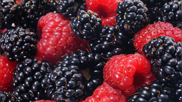 Berries