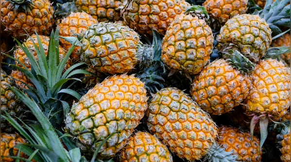 Pineapple