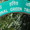 Article image for: NGT moved over tree felling for park development in Odisha