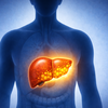 Article image for: Can fatty liver be undone? This case suggests it can