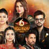 Bigg Boss Marathi 6 Winner & Grand Finale Update: Vishal Kotian gets eliminated; Tanvi Kolte wins; Raqesh Bapat emerges as first runner up