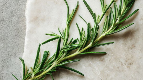 The Rosemary Hype is Real