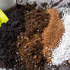 Article image for: Renewing and replacing the <i class="tbold">soil</i> mix