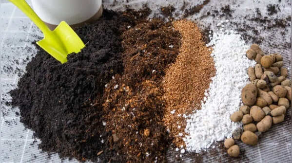 Renewing and replacing the soil mix