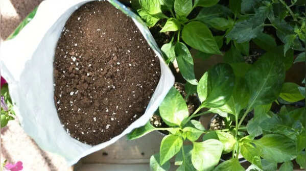 Adjusting soil mix according to plant types