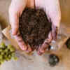 Water retention with coco peat