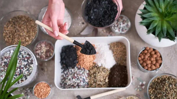 Compost for nutrients