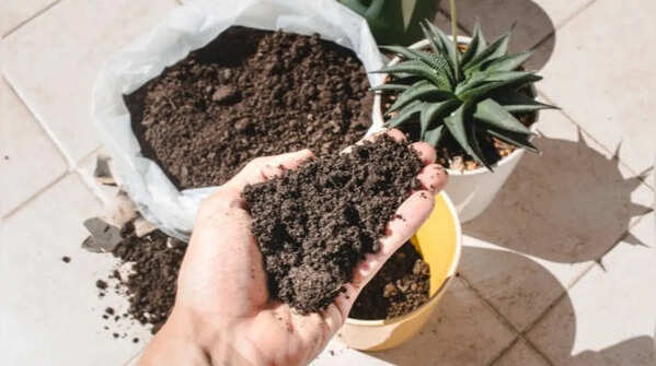 Base soil