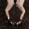 Article image for: Best <i class="tbold">soil</i> mix tips for healthy plant growth