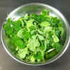 Article image for: Moringa and <i class="tbold">ayurveda</i>