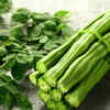 Article image for: Moringa and PM Modi