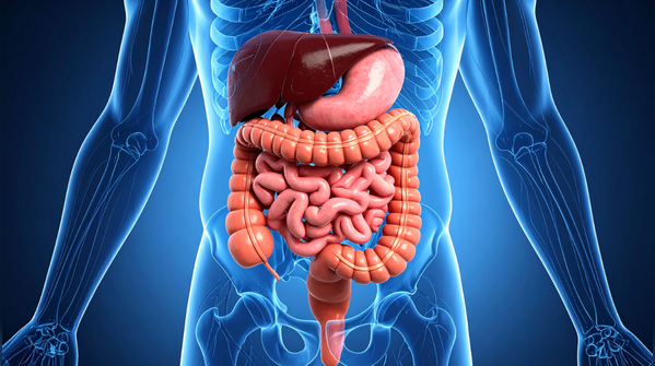 What this means for daily life