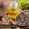 Article image for: Effective oil blends with <i class="tbold">castor</i> oil
