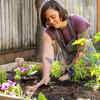 Article image for: May garden <i class="tbold">checklist</i>, Australia: What to plant for non-stop color and harvest