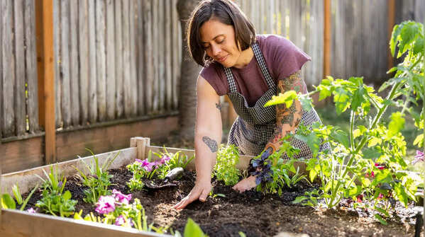 May garden checklist, Australia: What to plant for non-stop color and harvest