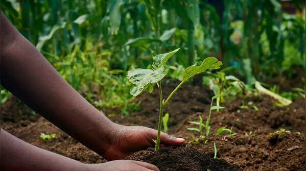 Vegetables that survive