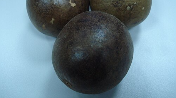 7. Monk fruit sweetener
