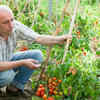 Article image for: Creating a perfect <i class="tbold">soil</i> blend