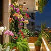 Article image for: Why May is a unique gardening window