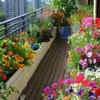 Article image for: Urban gardening boom in 2026
