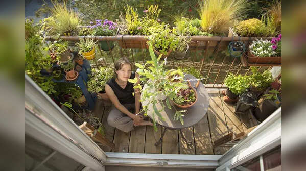 Essential care tips for May gardening