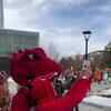 Article image for: Dinos break record, have a roaring party!