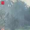 Article image for: At Least 13 Killed, Several Injured In Blast At Fireworks Unit In Kerala's Thrissur
