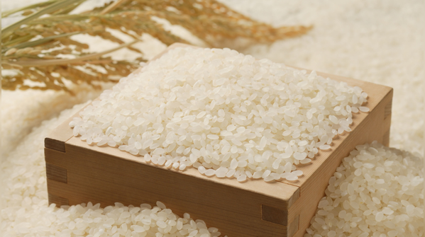Very dry grains in huge batches