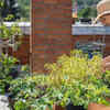 Care for your plants and maintain them