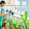 Water your plants appropriately